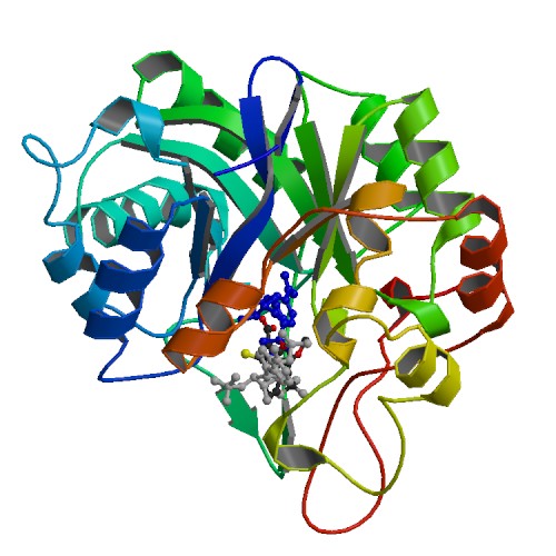 Aldo-keto reductase family 1, member A1